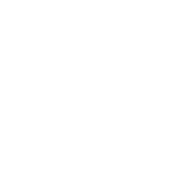 安全性のアイコン