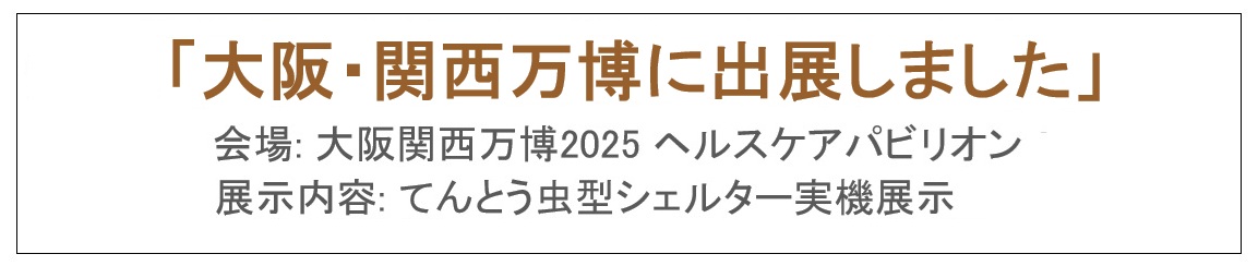 メディア情報の画像